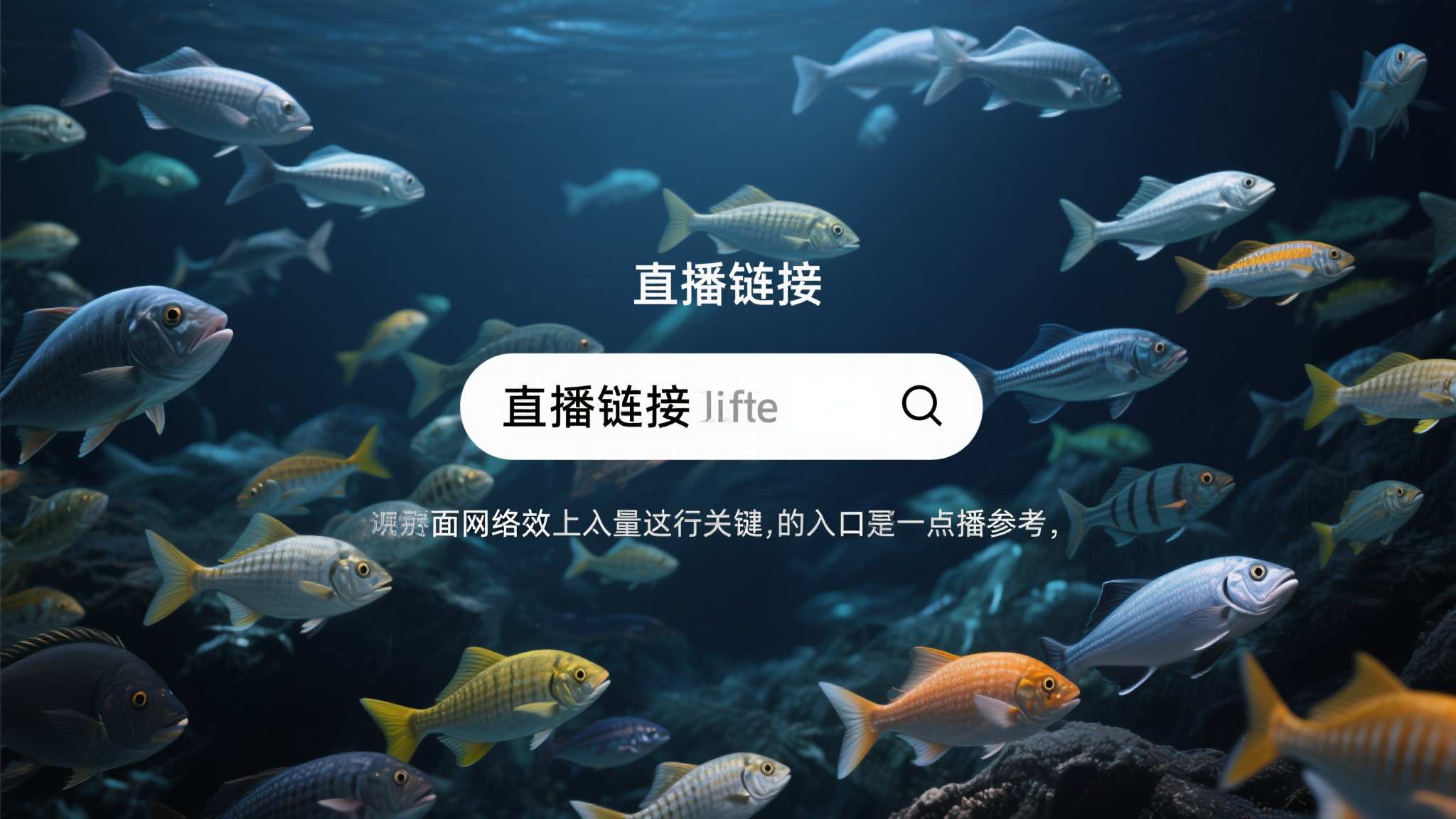 华体会最新服务上线